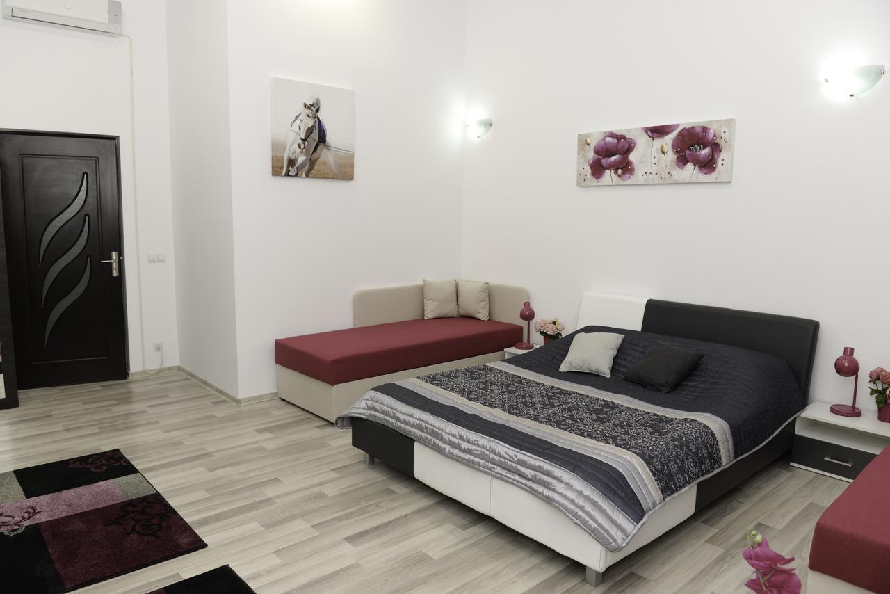 Apartmán Modern Central-Near Unirii Square Kluž Exteriér fotografie